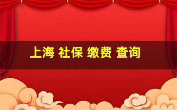 上海 社保 缴费 查询